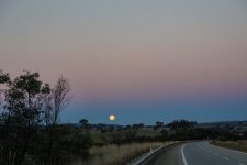 IMG_7041.JPG