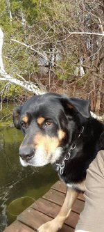 20170410_164409.jpg