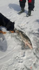 20170305_140141.jpg