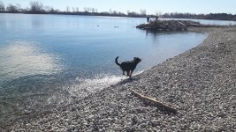 20170219_111345.jpg