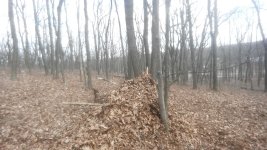 20180408_153523.jpg