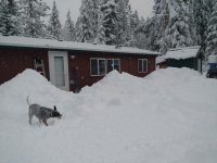 shadowsnow1.jpg