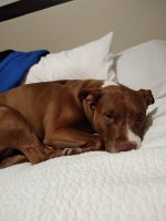 IMG_20190219_012449273.jpg
