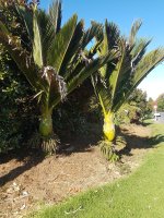 20190504_101517.jpg