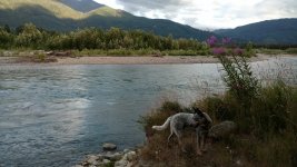 river2.jpg