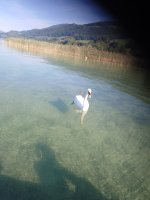 IMG_20220902_100020.jpg
