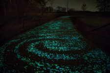 van-gogh-roosegaarde-glow-in-the-dark-bicycle-path-eindhoven-netherlands-3.jpg