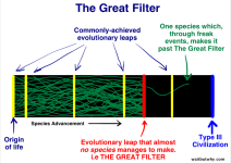 2014-06-12-GreatFilter11024x727.png