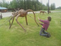 alaska7.jpg