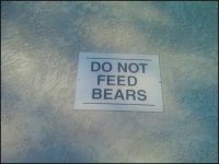 alaska8.jpg