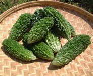 bittermelon.jpg