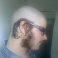 whaleofashrimp