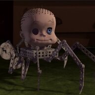 spider