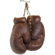 lawyerandboxer