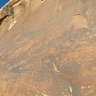 Desert Rose