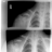 DixieCrystal